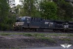 NS 4431